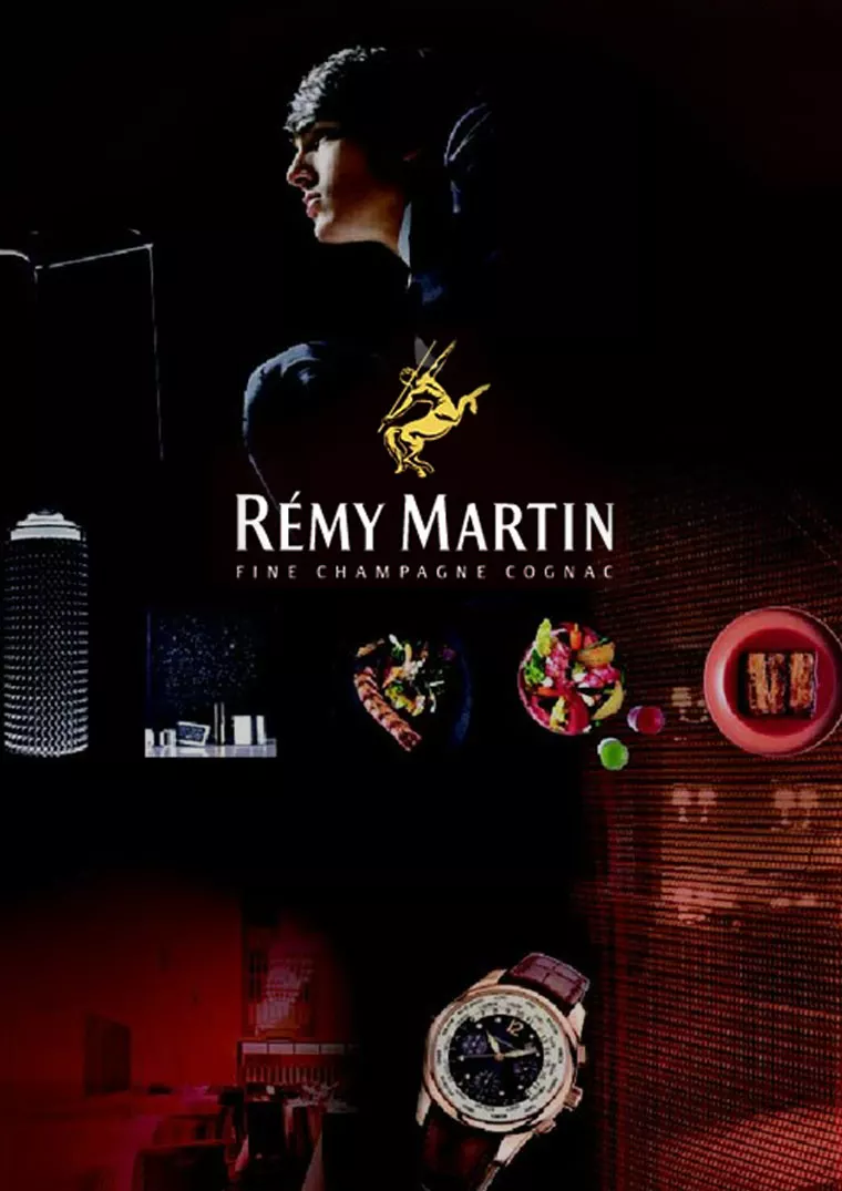 Rémy Martin — guide retail, marketing et site internet